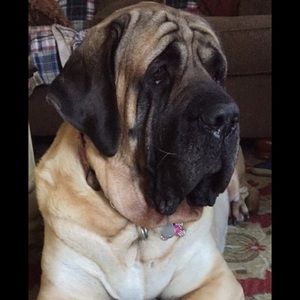 Meet your Posher, Barbara